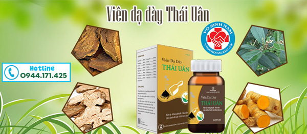 Thành phần Viên dạ dày Thái Uân 