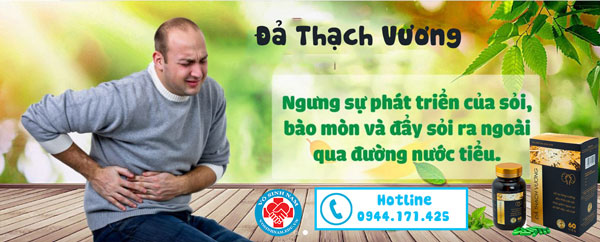  Đả Thạch Vương Giúp Cải Thiện Nguy Cơ Mắc Sỏi Thận