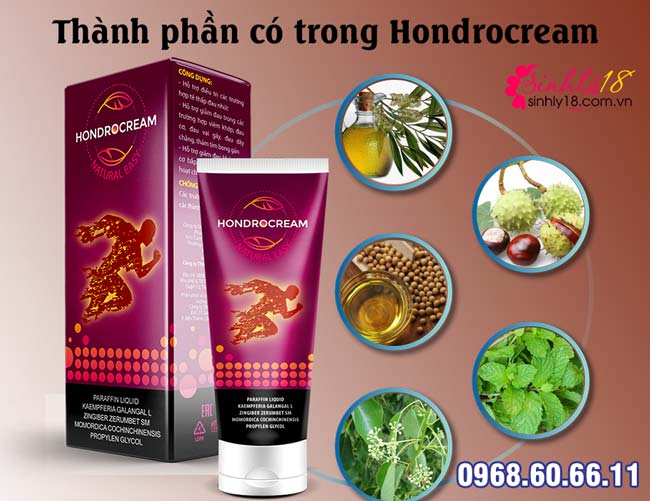 thành phần hondrocream