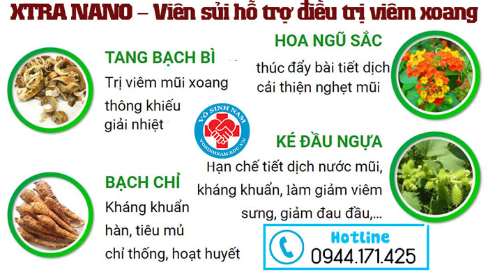 Thành phần Viên sủi Xtra Nano