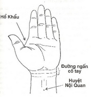 Huyệt nội quan 