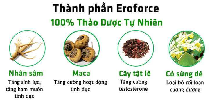 thành phần eroforce