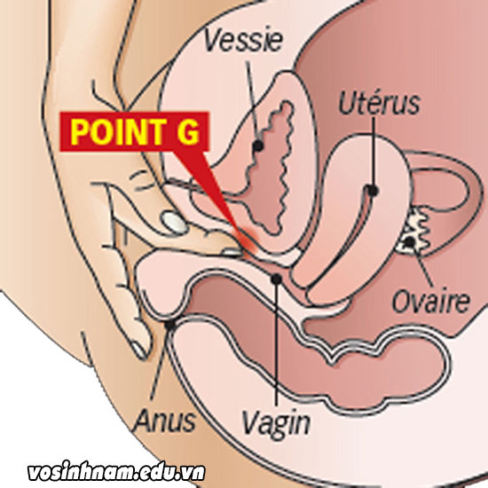 Cách làm cho vợ sướng đến phát ngất 