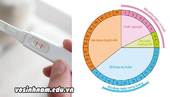 Cách tính ngày rụng trứng để sinh con trai chính xác nhất