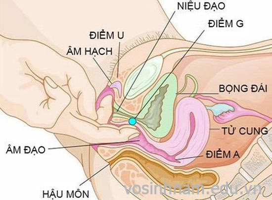 dung-tay-kich-thich-diem-g-de-phu-nu-len-dinh