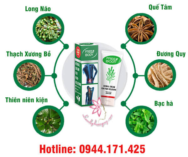 thành phần free body xương khớp