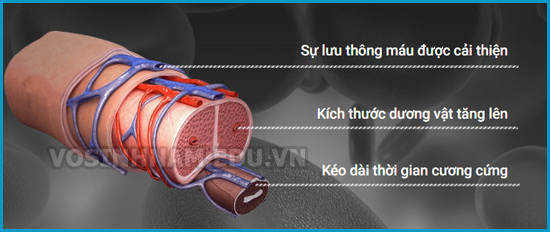 gel-titan-nga-chinh-hang-2