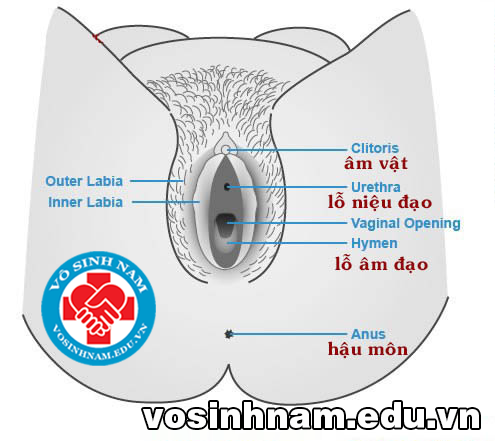 hinh-anh-am-dao-am-vat-con-trinh-cua-gai-moi-lon-1