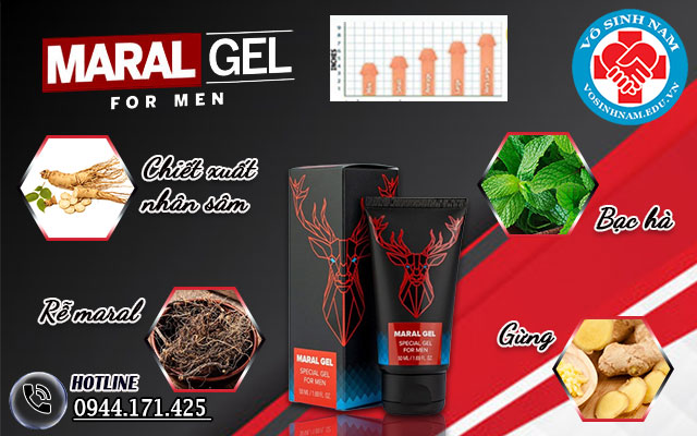 thành phần của maral gel