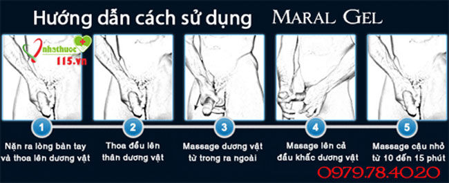 hướng dẫn sử dụng maral gel