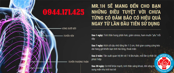 cơ chế hoạt động mr 1h