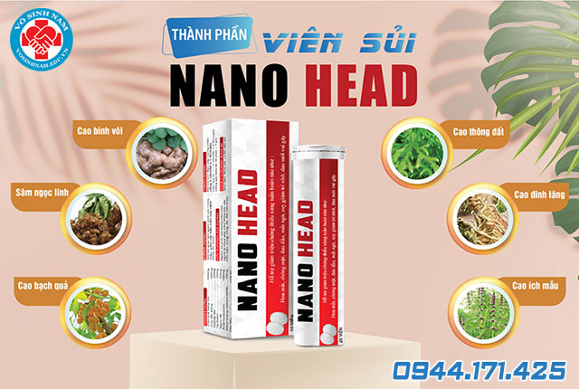 thành phần nano head