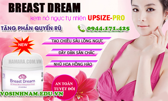 combo kem upsize breast dream