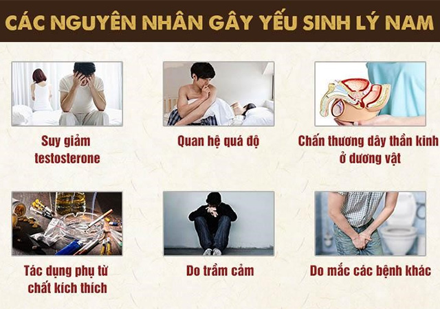 nguyên nhân yếu sinh lý